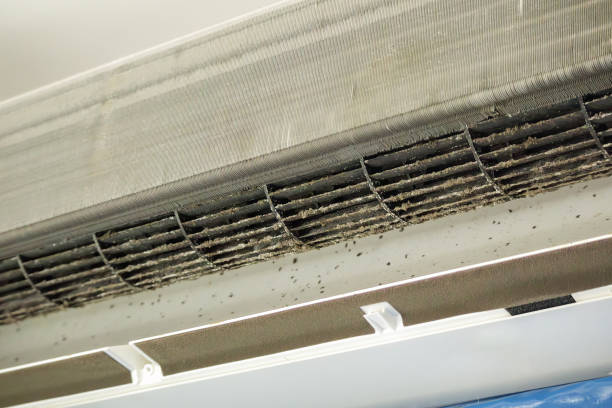 Air Duct Mold Removal in Carmel By The Sea, CA